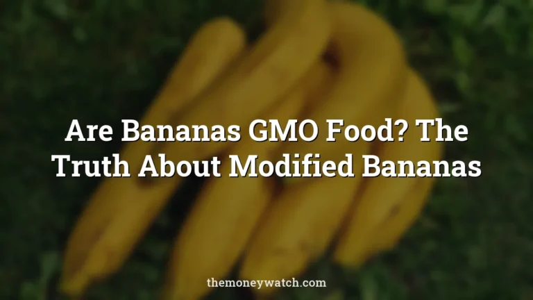 Are Bananas GMO Food? The Truth About Modified Bananas