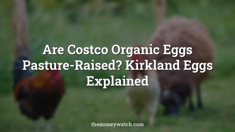 Sheep and chickens, hens and sheep photo for a guide to are costco organic eggs pasture