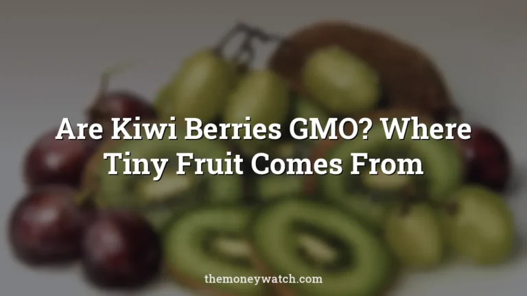 Fruits, ripe and berries photo for a guide to are kiwi berries gmo