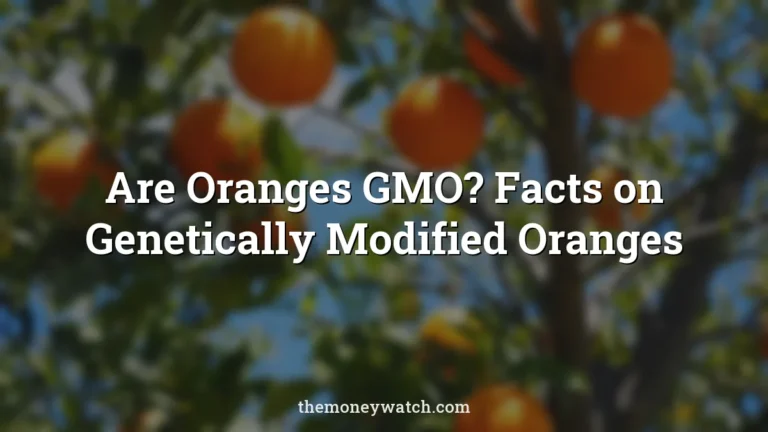 Oranges, fruits and grove photo for a guide to are oranges gmo