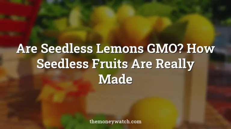 Lemons, lemon and citrus photo for a guide to are seedless lemons gmo