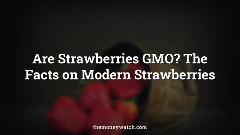 Fruits, strawberries and basket photo for a guide to are strawberries gmo