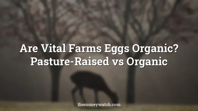 Deer, grazing and field photo for a guide to are vital farms eggs organic