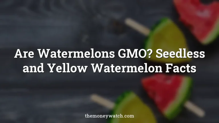 Watermelon, fruit and food photo for a guide to are watermelons gmo