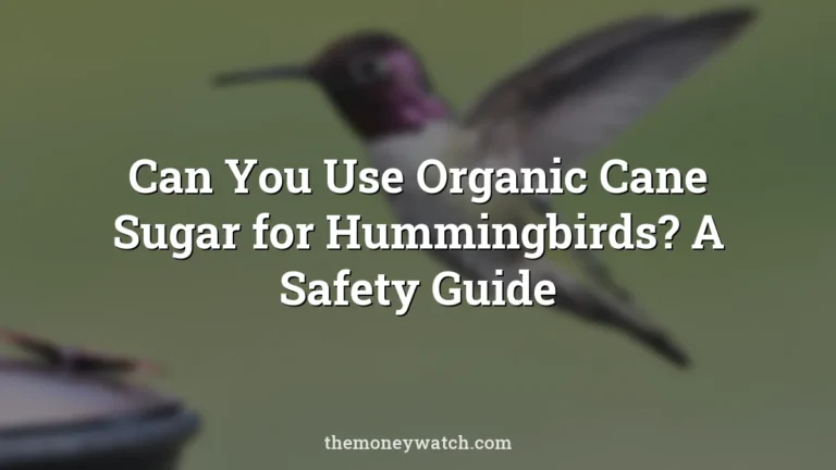 Can You Use Organic Cane Sugar for Hummingbirds? A Safety Guide