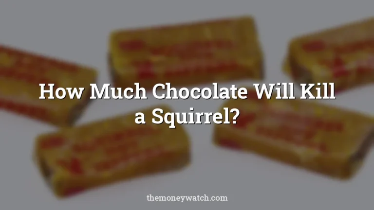 Chocolate, candy and sugar photo for a guide to how much chocolate will kill a squirrel