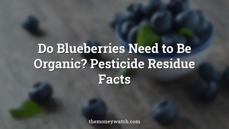 Blueberries, fruits and food photo for a guide to do blueberries need to be organic