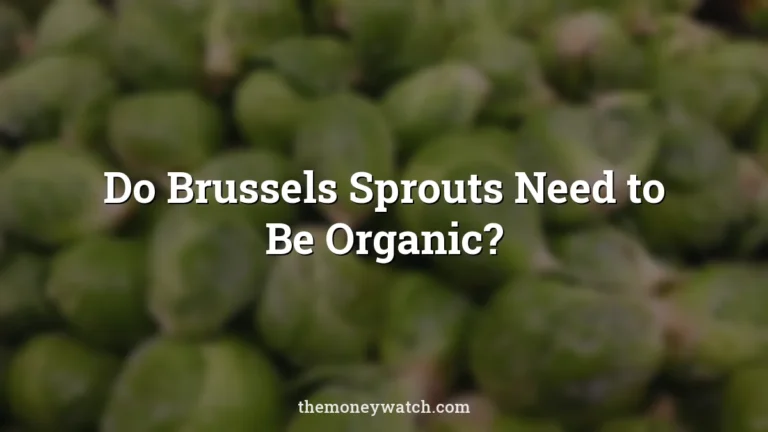 Brussel sprouts, vegetable and green photo for a guide to do brussel sprouts need to be