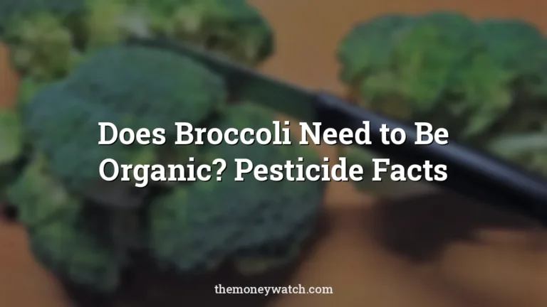 Broccoli, vegetables and type of cabbage photo for a guide to does broccoli need to be