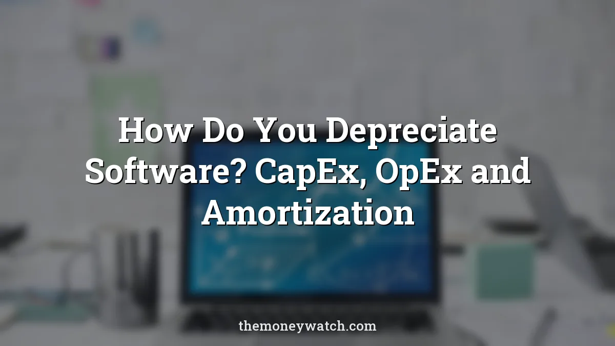 Using A Computer Program How Do You Depreciate Software? CapEx, OpEx and Amortization