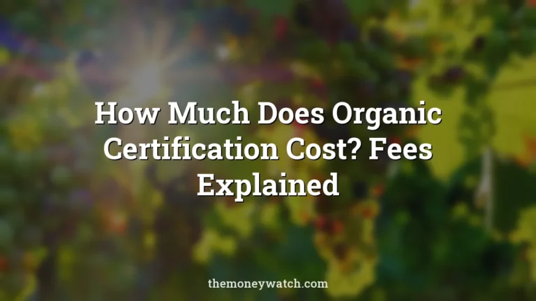 Grapes, fruits and food photo for a guide to how much does organic certification cost