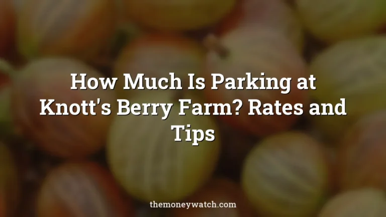 Gooseberry, berry and berry fruit photo for a guide to how much is parking at knotts