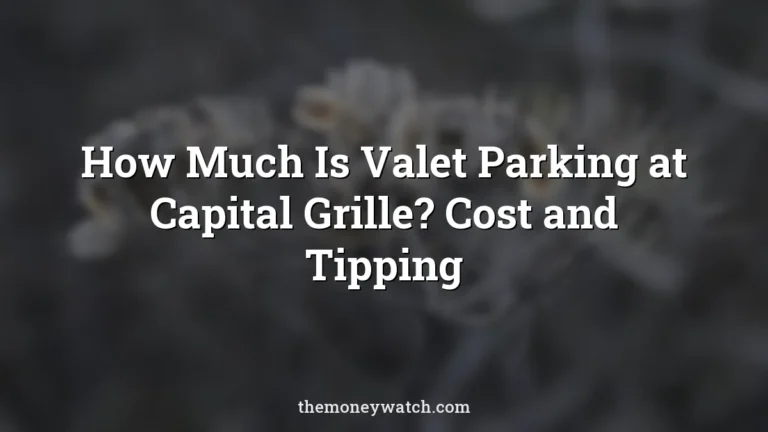 Umbel flower and faded photo for a guide to how much is valet parking at capital