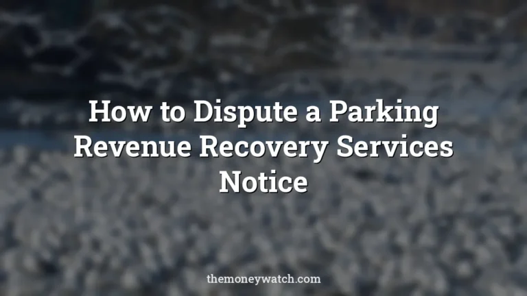 Birds, seagulls and lake photo for a guide to how to dispute parking revenue recovery services