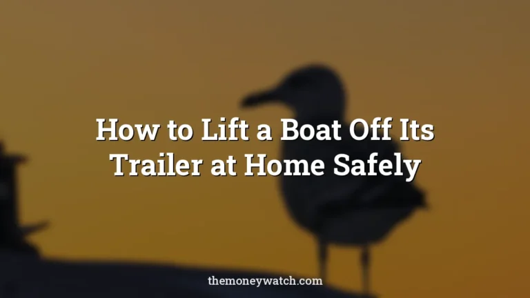 Seagull, nature and gull photo for a guide to how to lift boat off trailer at