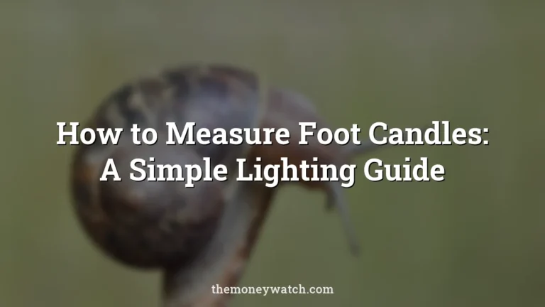 How to Measure Foot Candles: A Simple Lighting Guide