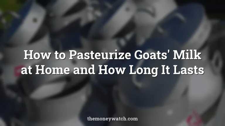 Milk cans, milk transport and dairy farming photo for a guide to how to pasteurize goats
