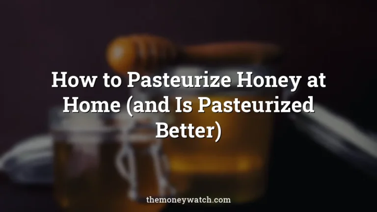 Honey, jar and honey dipper photo for a guide to how to pasteurized honey