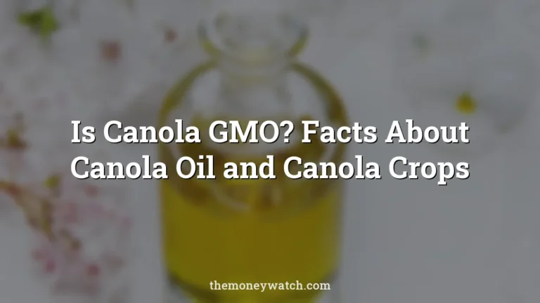 Glass, bottle and oil photo for a guide to is canola gmo