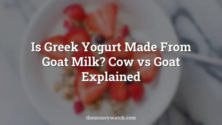 Cereal, food and breakfast photo for a guide to is greek yogurt made from goat milk