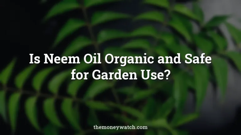 Neem leaves, neem and herb photo for a guide to is neem oil organic and safe