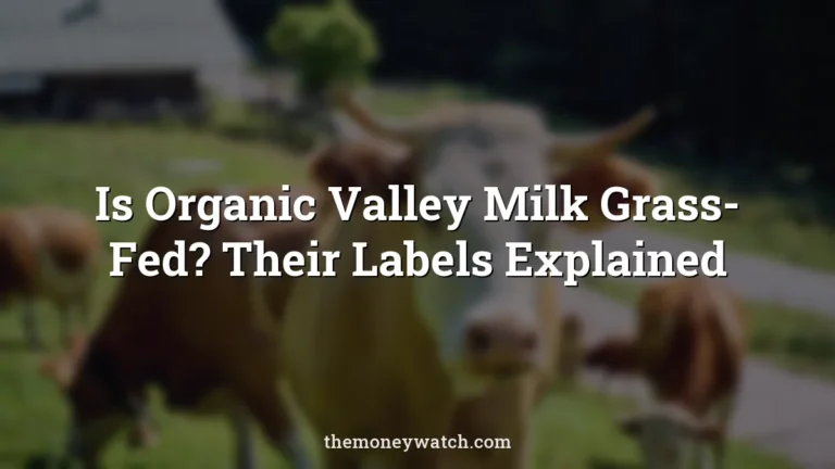 Animal, cow and mammal photo for a guide to is organic valley milk grass fed