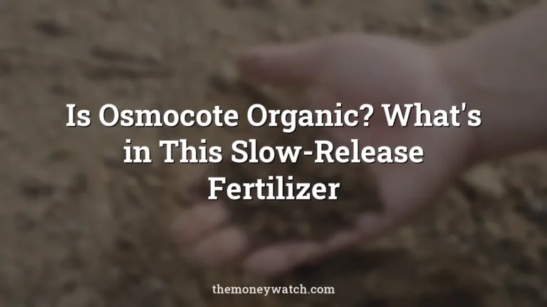 Soil, hand and farm photo for a guide to is osmocote organic