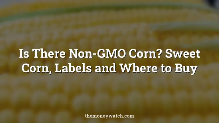 Is There Non-GMO Corn? Sweet Corn, Labels and Where to Buy