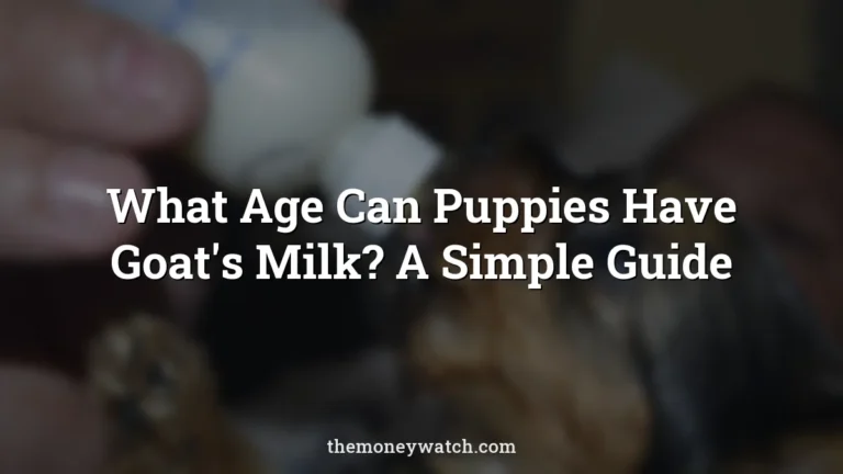 Feeding, pets and animal photo for a guide to what age can puppies have goats milk