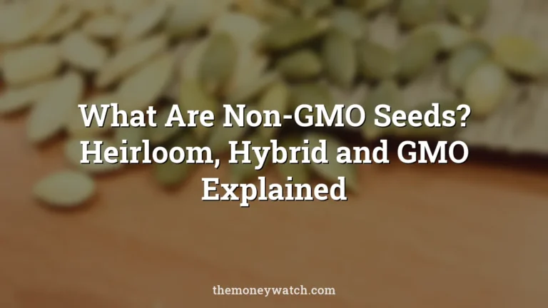 What Are Non-GMO Seeds? Heirloom, Hybrid and GMO Explained