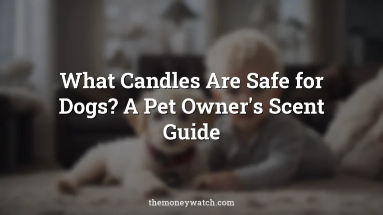 Dog, baby and portrait photo for a guide to what candles are safe for dogs