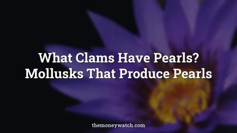 Water lily, purple flower and petals photo for a guide to what clams have pearls