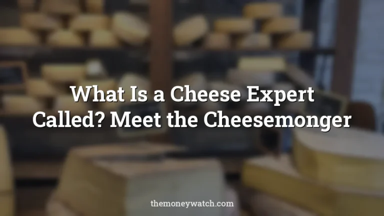Cheese, structure and gourmet photo for a guide to what is a cheese expert called