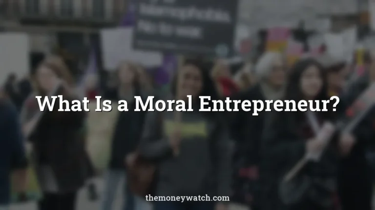 Protest, demonstration and demonstrator photo for a guide to what is a moral entrepreneur