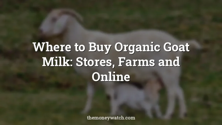 Goat, kid and mammal photo for a guide to where to buy organic goat milk