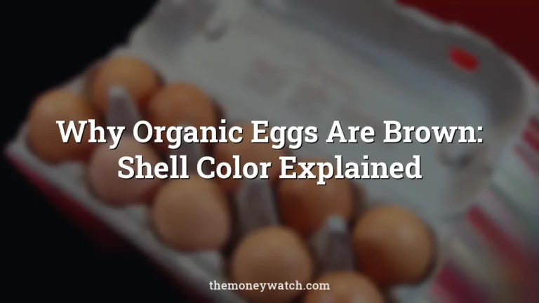 Eggs, pack and food photo for a guide to why organic eggs are brown